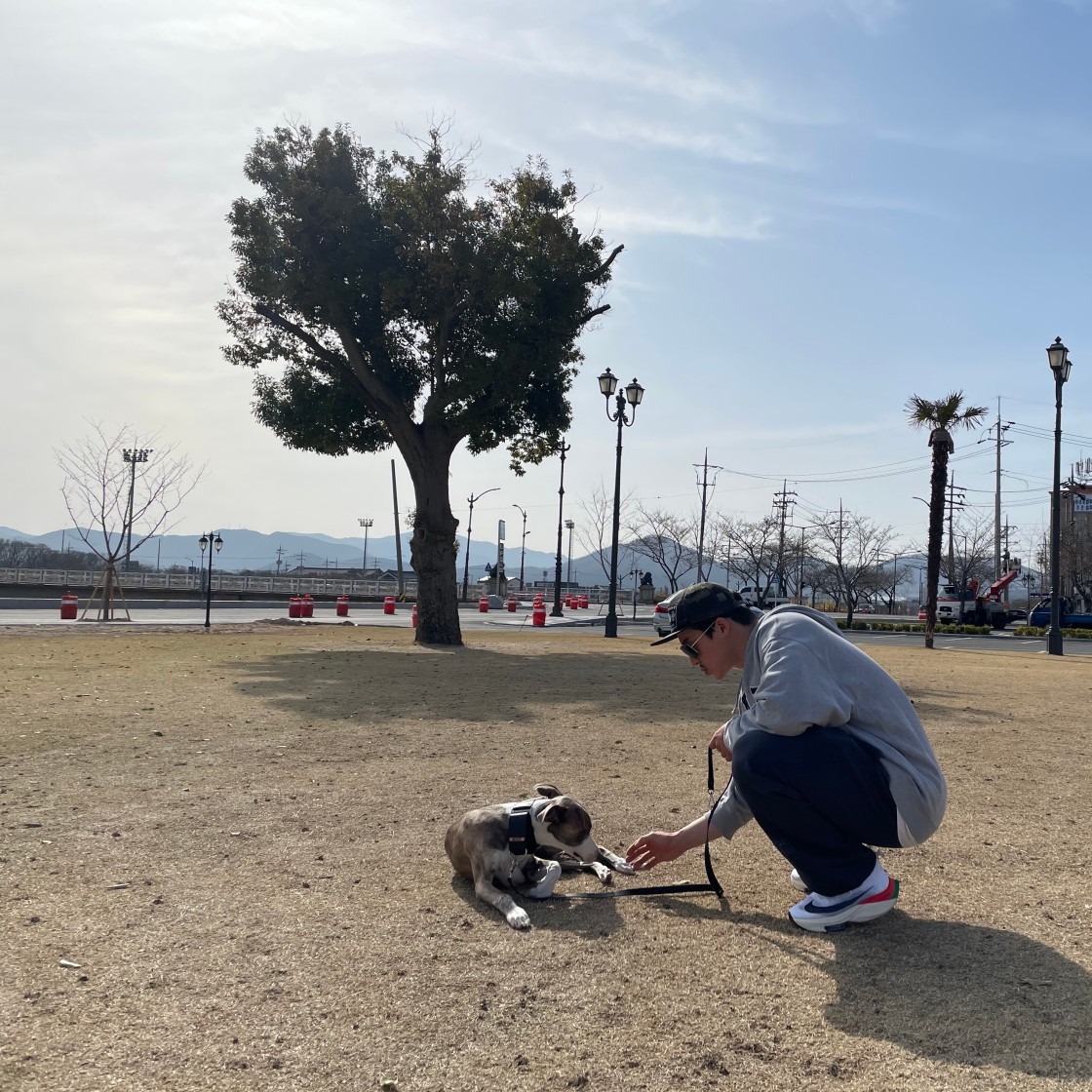 【⭐인기 런닝화 TOP2】나이키 에어 줌 알파플라이 넥스트% 2 photo review